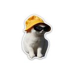 Cat meme wearing hat- sticker