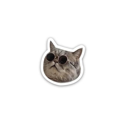 Cat meme wearing glasses 5- sticker
