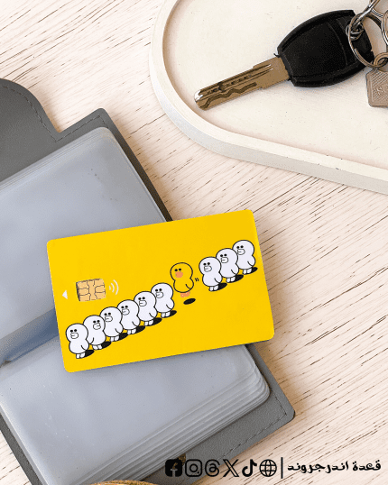 Visa Sticker - Ducks