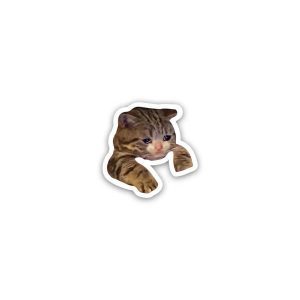Cat meme 5- Sticker