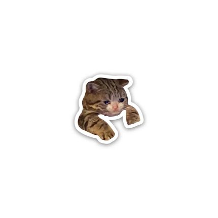 Cat meme 5- Sticker