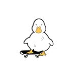 Duck  with skateboard -Metal
