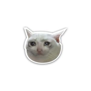 Crying Cat- sticker