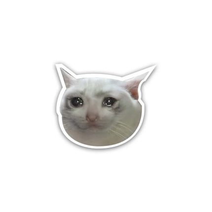 Crying Cat- sticker