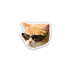 Cat meme wearing glasses 2- sticker