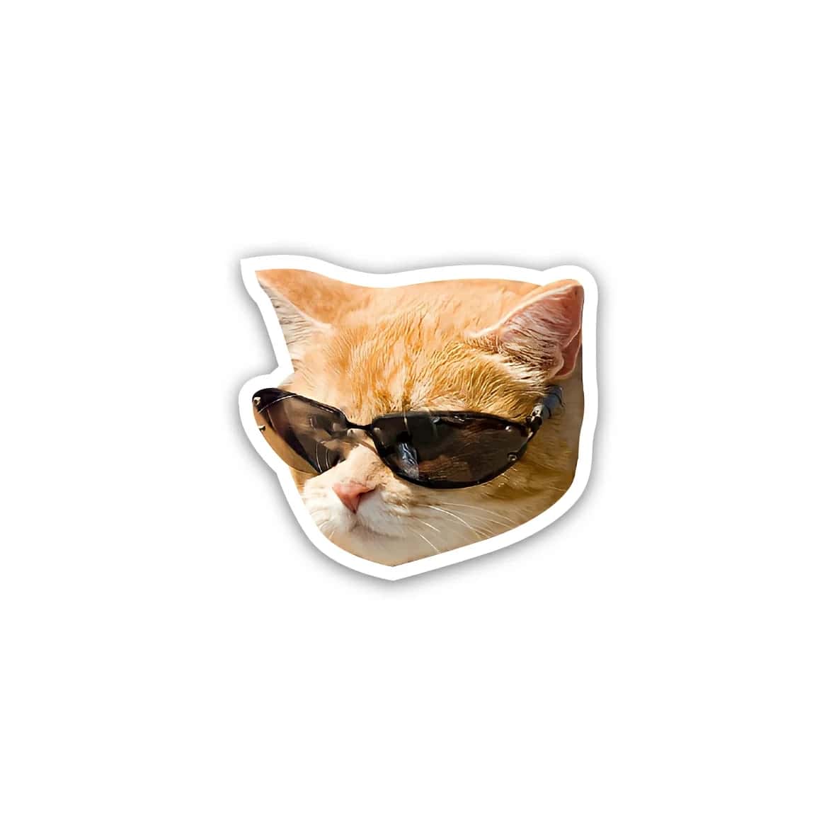 EaZbMwQZSJKzKVQP6vudbuRP7Rlwo06Rkslbv2Of.jpg Cat meme wearing glasses 2- sticker - الصورة 1