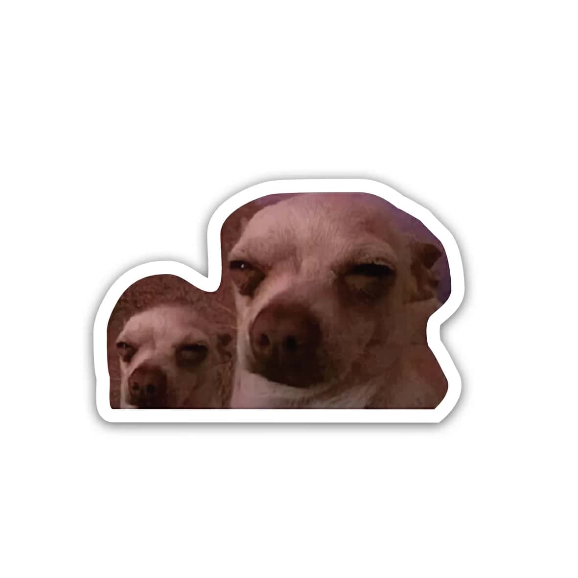 FZxy5pdwphZcNiWlOgmG6tEYOmQQvsLv5igHYVT4.jpg Dog meme- Sticker - الصورة 1