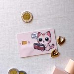 Don’t say money -Visa Sticker
