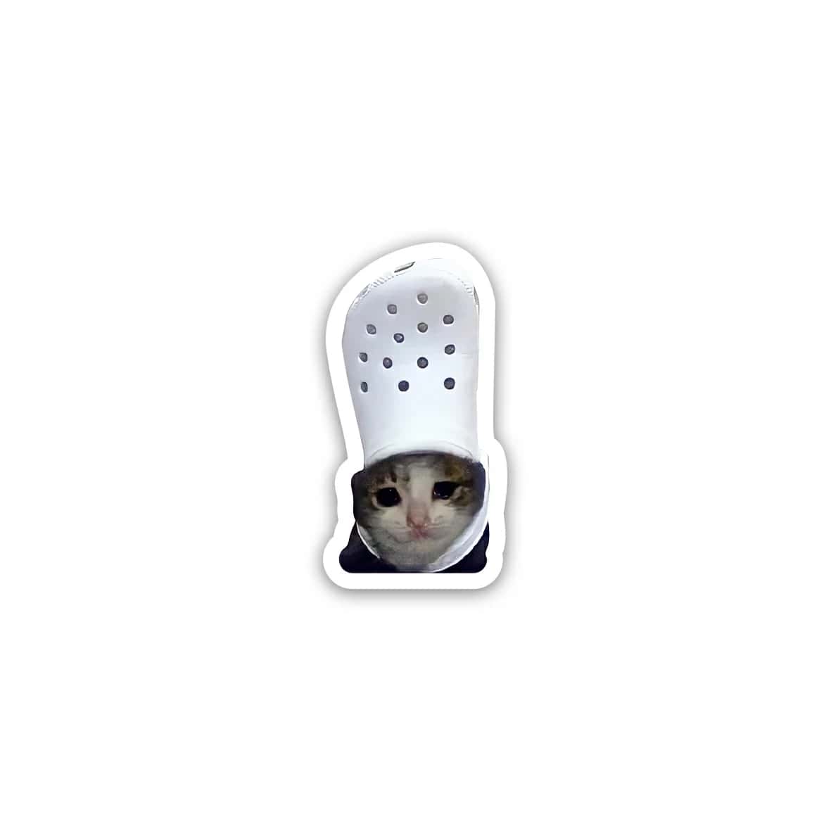 MtBFwAnkj6UacaolJgYx3YDfef1s25mGNiHNcQQx.jpg Cat meme 6- Sticker - الصورة 1