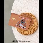 i lost everything -Visa Sticker