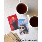Cats memes- couple Visa Sticker