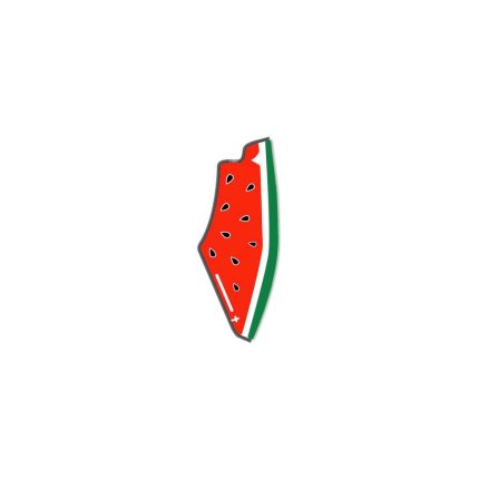 خريطه فلسطين -lapel pin