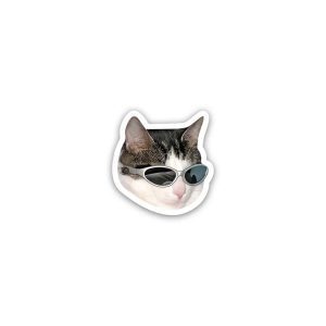 Cat meme wearing glasses 6- sticker