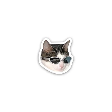 Cat meme wearing glasses 6- sticker