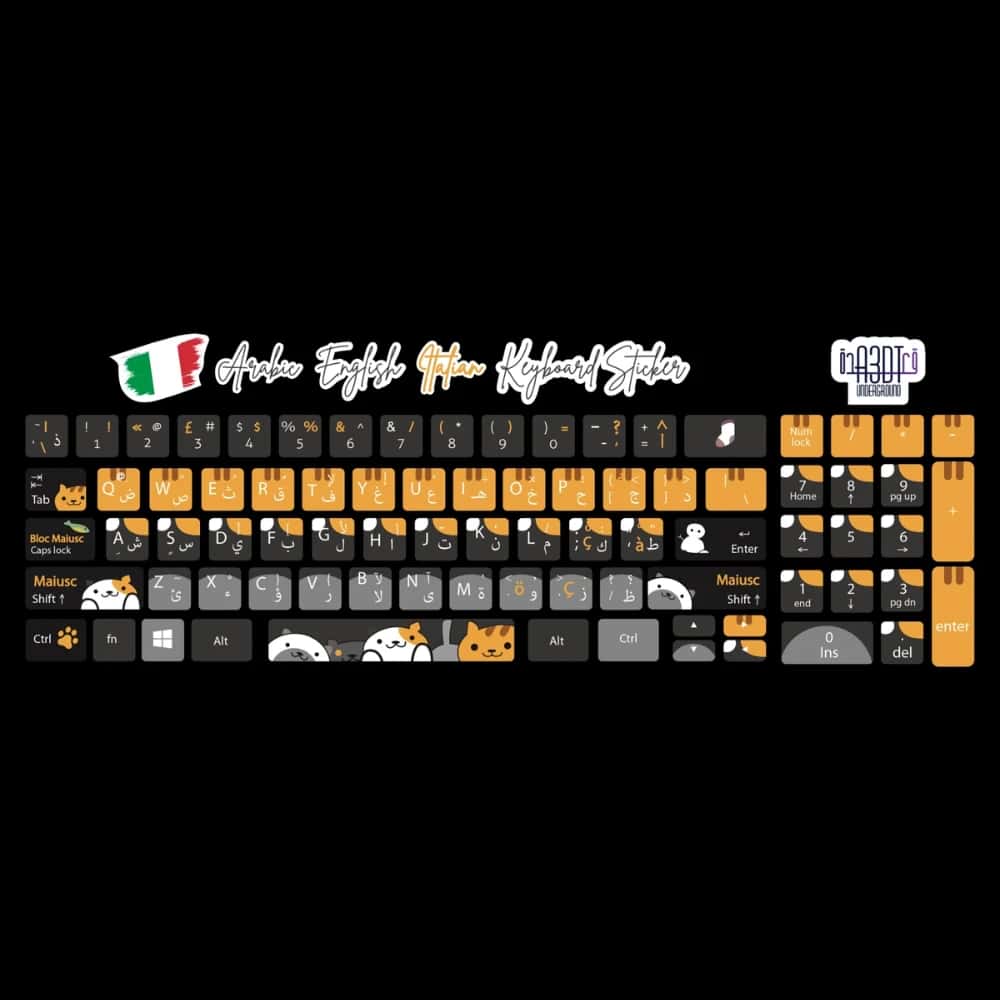 Wjb7qeE5dsVl6oPZ795Aoy64wrxSaQDXm59J6xTt.jpg Cats (Arabic - English- Italian)- keyboard sticker - الصورة 1