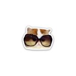 Cat meme wearing glasses- sticker