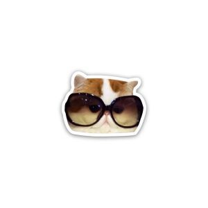 Cat meme wearing glasses- sticker