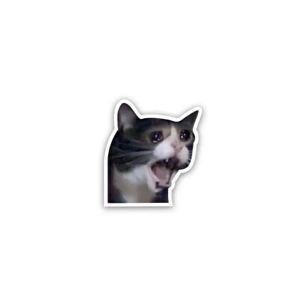 Cat meme 2- Sticker