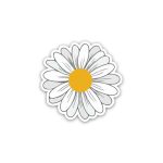 Chamomile White Flower Daisy- Sticker