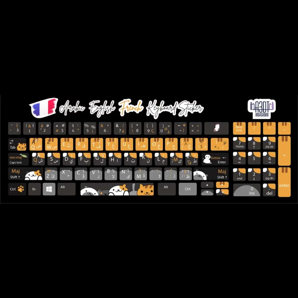 kXsslR0Vcw6l0MPEXXYffp5gkeFG9Rezx8I1ITWH-1.jpg Cats (Arabic - English- French)- keyboard sticker - الصورة 1
