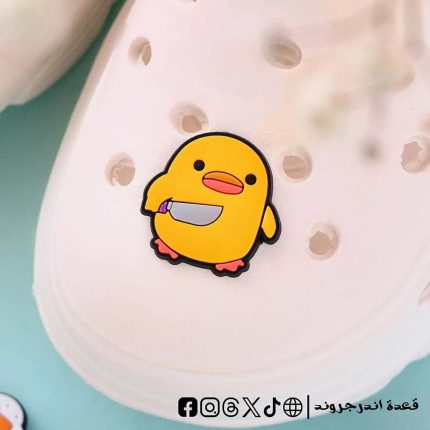Donuts pinkDuck with knief- crocs charms