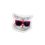 Cat meme wearing glasses 3- sticker