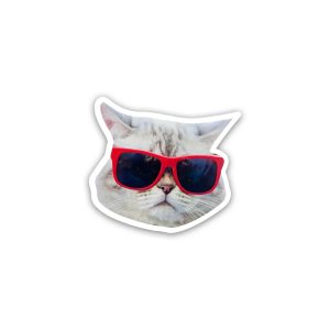 Cat meme wearing glasses 3- sticker