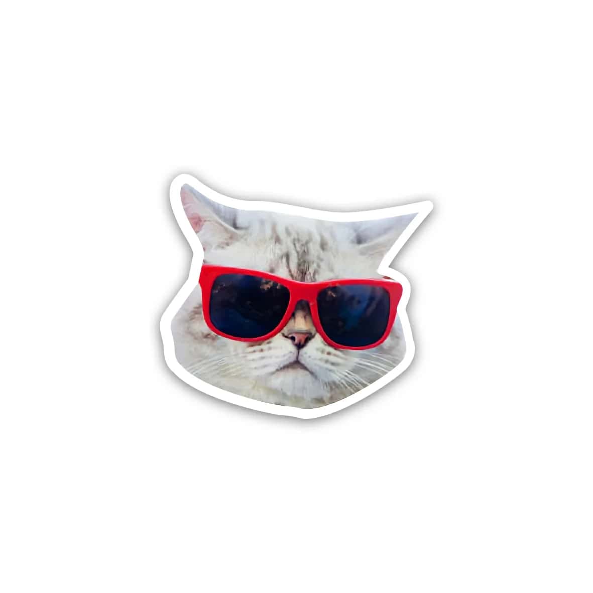 nuJCsvQ48YKsNythdY67mQpr3qnR9ge2ikdHowQm.jpg Cat meme wearing glasses 3- sticker - الصورة 1
