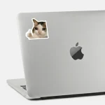 Cat Like meme- sticker - الصورة 2