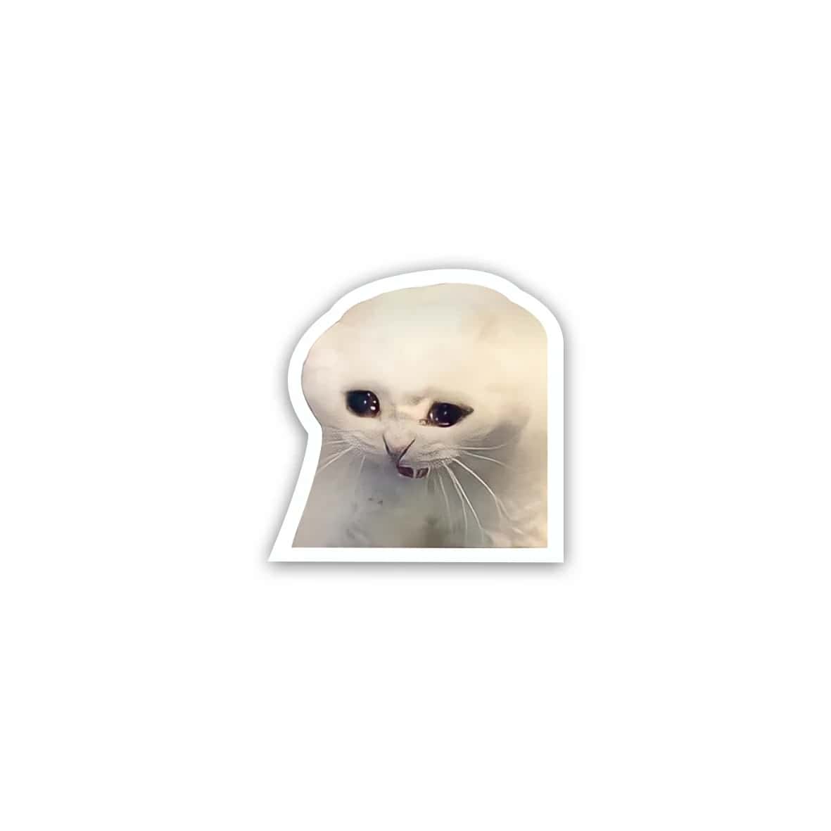 uvzufO3mdGvhaJL4IpyHroAMjo59vfuitU8ZOjnF.jpg Cat meme 1- Sticker - الصورة 1