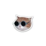 Cat Sunglasses  meme- sticker