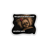 Judging you 5 - sticker